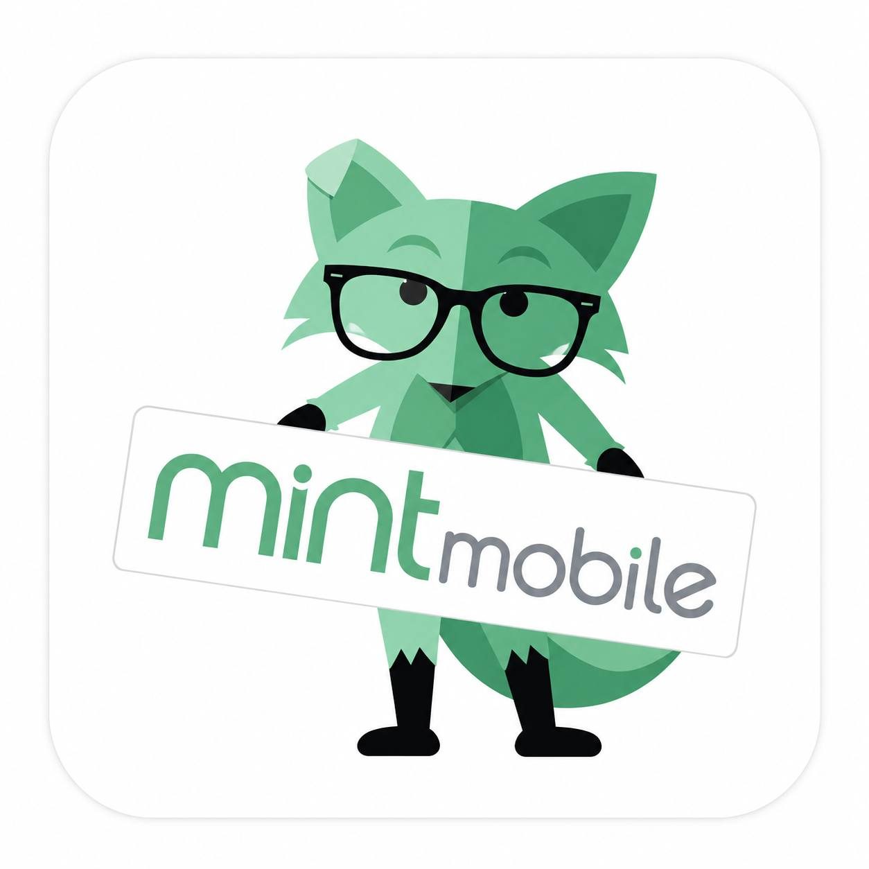 MINT MOBILE 🇺🇸